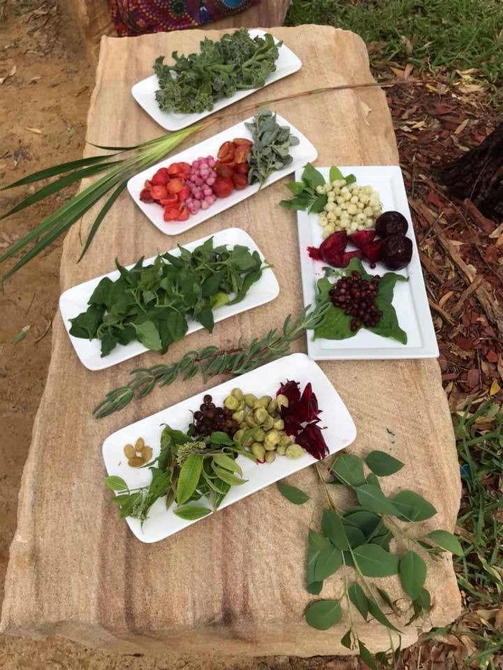 Goanna Hut | First Nations Catering & Cooking Demonstrations